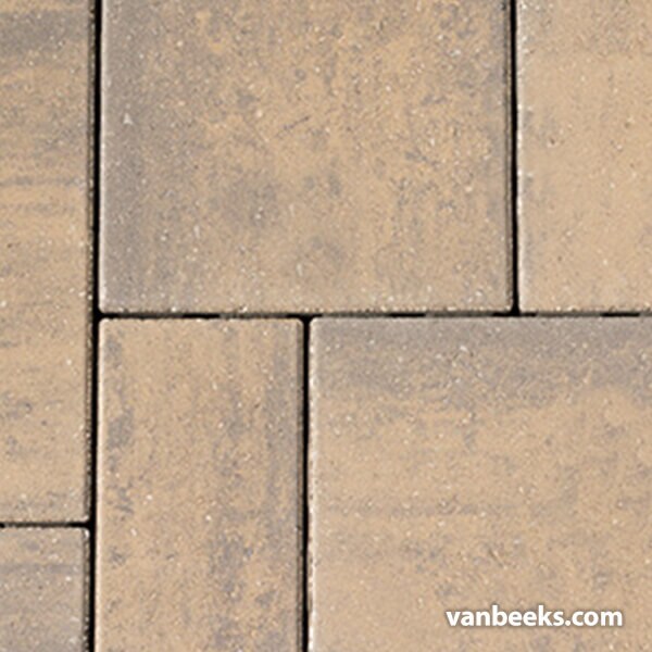 BWS Trevista 50 Concrete Paver